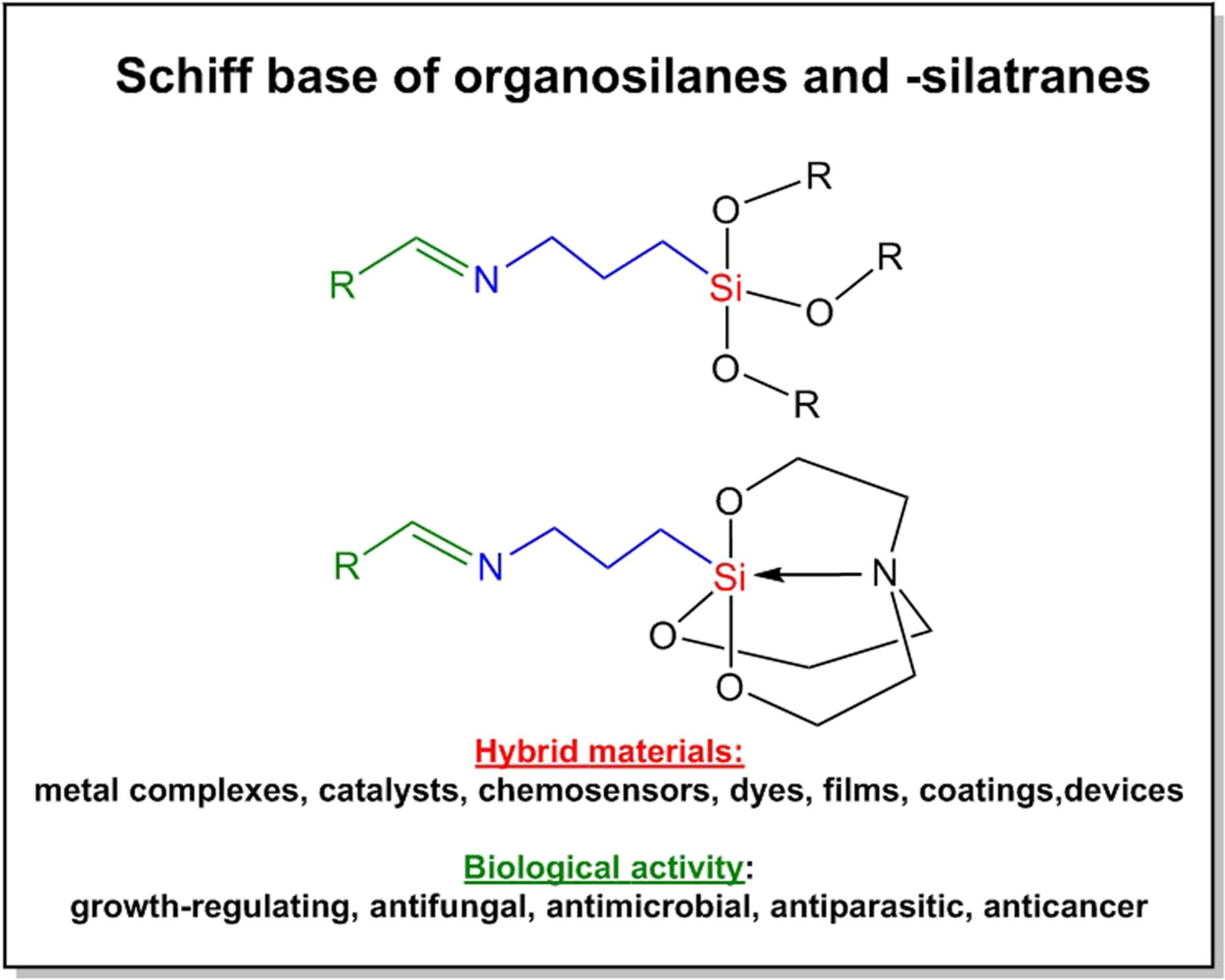 Schiff Base of 3-Aminopropylalkoxysilanes and 3-Aminopropylsilatranes: Importance of Investigations and the Potential Applications