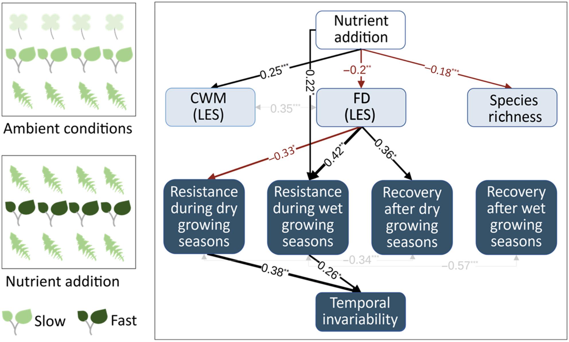 Change in functional trait diversity mediates the effects of nutrient addition on grassland stability