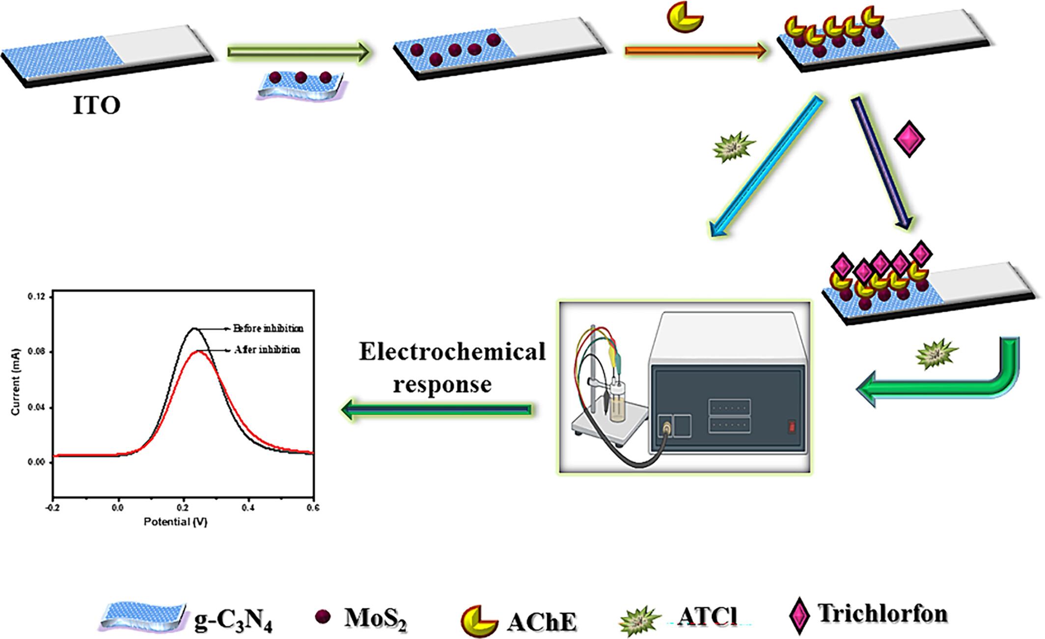 A Novel Acetylcholinesterase-Based Electrochemical Biosensor Using g-C3N4@MoS2 Nanohybrid for the Detection of Trichlorfon