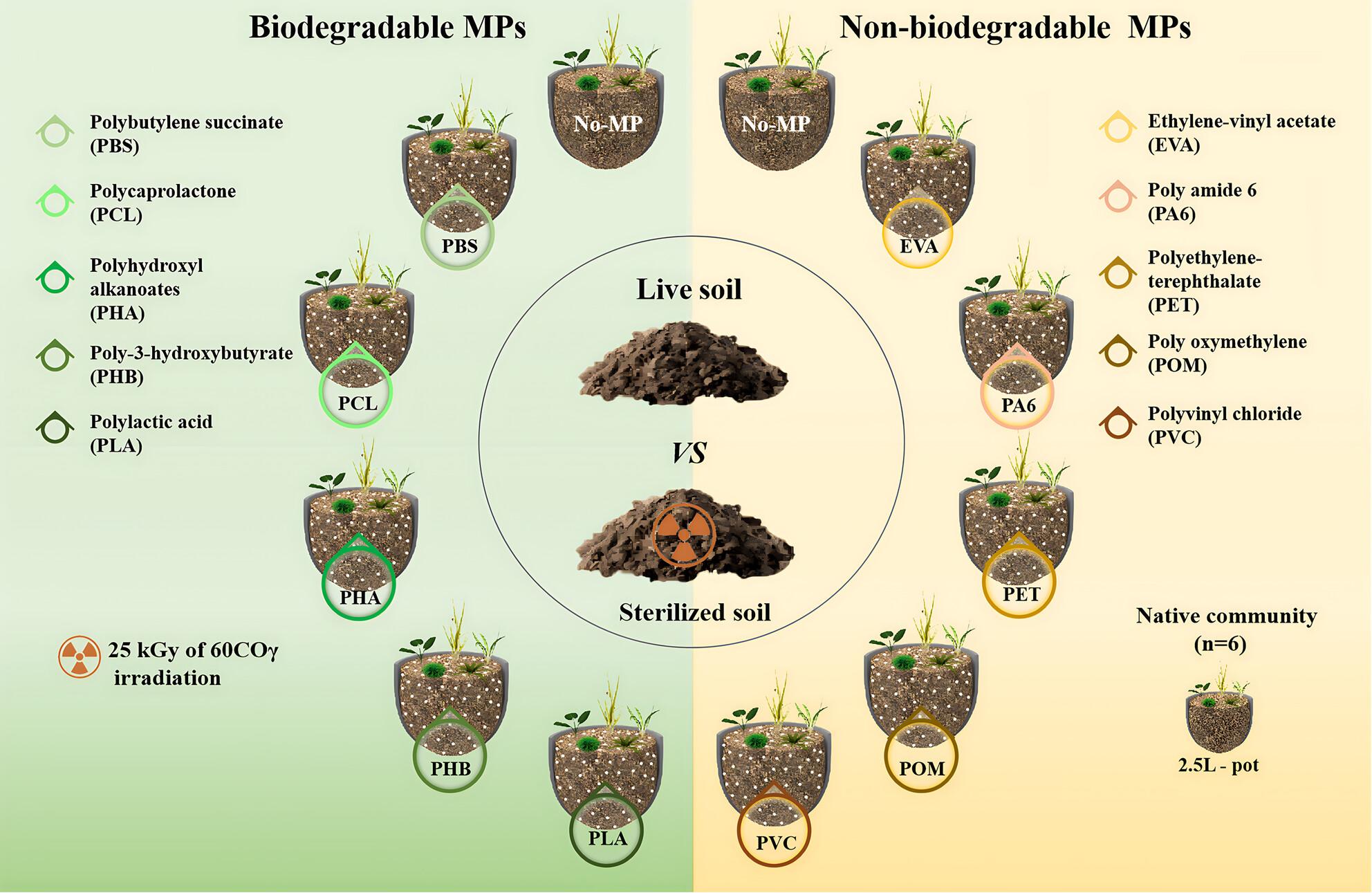 Soil biota modulate the effects of microplastics on biomass and diversity of plant communities