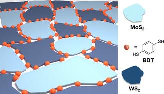 Defect-engineering of liquid-phase exfoliated 2D semiconductors: stepwise covalent growth of electronic lateral hetero-networks†