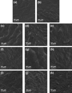 Poly (ε‐caprolactone)/polybutylene adipate terephthalate/hydroxyapatite blend bionanocomposites: morphology–thermal degradation kinetics relationship