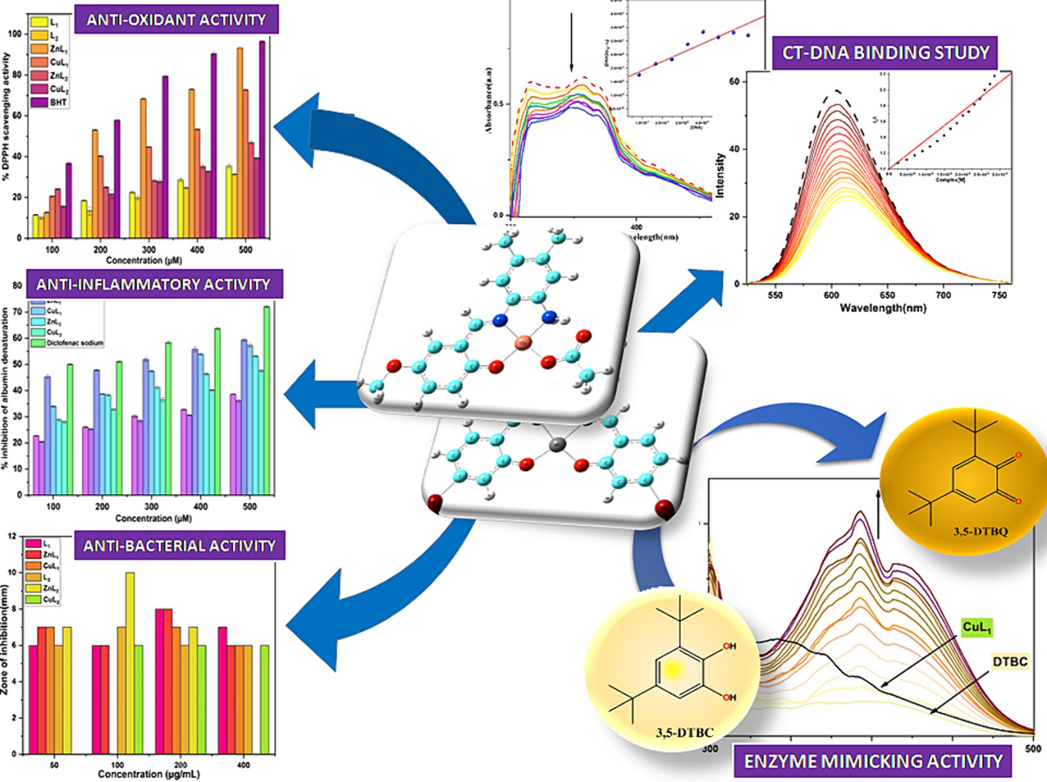 Unraveling the Potential of Mononuclear Zn(II) and Cu(II) Schiff Base Metal Complexes: Microwave-Aided Synthesis, Theoretical Analysis and Application in Biomimetic Catalysis, CT-DNA Interaction, and In Vitro Biological Assays