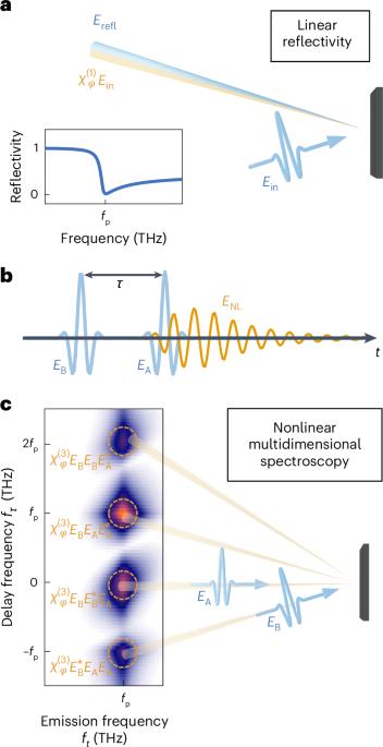 Probing inhomogeneous cuprate superconductivity by terahertz Josephson echo spectroscopy