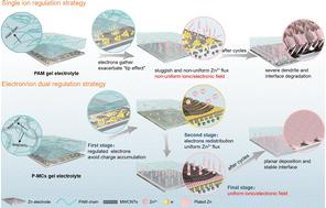 Hydrogel electrolytes with an electron/ion dual regulation mechanism for highly reversible flexible zinc batteries†