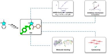 Asymmetric imidazole-4,5-dicarboxamide derivatives as SARS-CoV-2 main protease inhibitors: design, synthesis and biological evaluation†