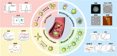 In situ characterization techniques of protein corona around nanomaterials