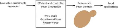 Future production of yeast biomass for sustainable proteins: a critical review