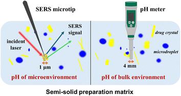 Surface enhanced Raman scattering microtips for microenvironment pH determination of semi-solid preparations†