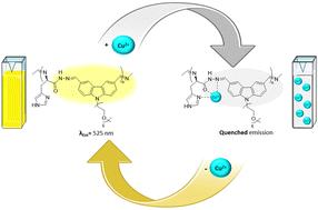 Fluorescent histidine-derived biodynamers as biocompatible and highly water-soluble copper(ii)-sensors†