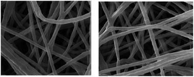 Poly(ε-caprolactone) nanofibers functionalized with poultry feather hydrolysate as a novel antioxidant material†