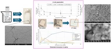 Design and characterization of β-tricalcium phosphate-based self-passivating coatings on magnesium alloys†