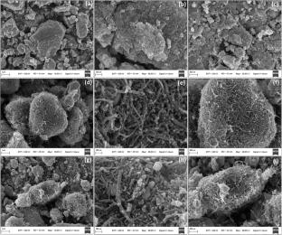 Facile construction of SnS2-MWCNTSs decorated nanoparticles for effective water splitting