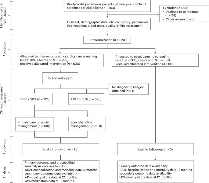 Echocardiographic screening for heart failure and optimization of the care pathway for individuals with pacemakers: a randomized controlled trial