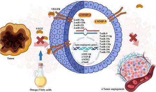 Natural products-based antiangiogenic agents: New frontiers in cancer therapy