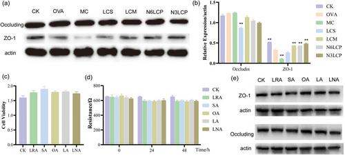 Effect of varying dietary fatty acid patterns on early-life food allergy in rats