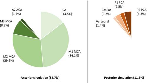 Prevalence and Distribution of Intracranial Vessel Occlusion on Angiography and Its Association with Functional Outcome in Patients with Atrial Fibrillation Presenting with Ischemic Stroke