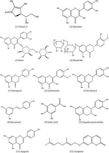 Anti-inflammatory effects of natural products from vitamin C-rich fruits