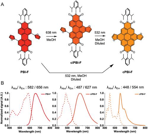 Photoconvertible and Photoactivatable Perylene BisImide Based on Photocyclization