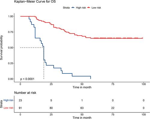 A prognostic nomogram for T3N0M0 esophageal squamous cell carcinoma patients undergoing radical surgery based on computed tomography radiomics and inflammatory nutritional biomarkers