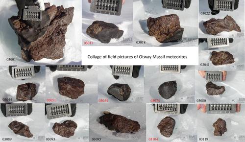 Cosmogenic radionuclides in meteorites from the Otway Massif blue ice area, Antarctica: An unusual, well-preserved H5 chondrite strewn field