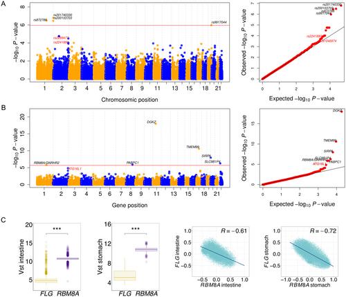 Whole Exome Sequencing Identifies Epithelial and Immune Dysfunction-Related Biomarkers in Food Protein-Induced Enterocolitis Syndrome