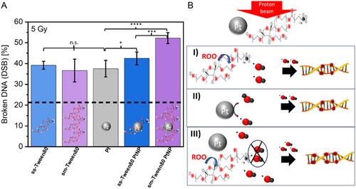 Synergetic Enhancing Effects between Platinum Nanosensitizers and Clinically Approved Stabilizing Ligands in Proton Therapy, Causing High-Yield Double-Strand Breaks of Plasmid DNA at Relevant Dose