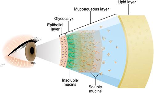 Review of Hydroxypropyl Methylcellulose in Artificial Tears for the Treatment of Dry Eye Disease