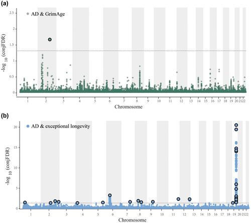 Causal associations and shared genetic etiology of neurodegenerative diseases with epigenetic aging and human longevity