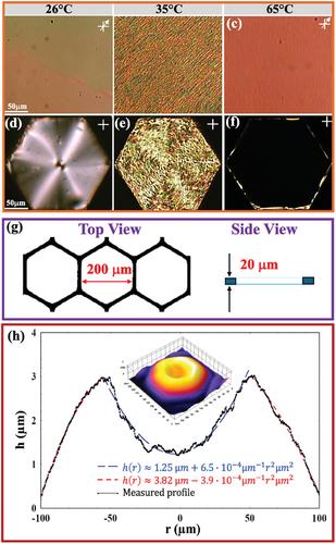 Self-Assembled Biconvex Microlens Array Using Chiral Ferroelectric Nematic Liquid Crystals