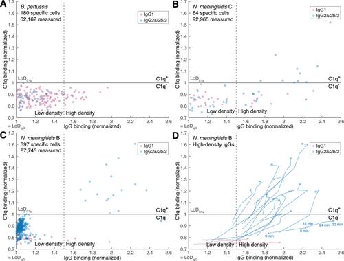 Antibody density on bacteria regulates C1q recruitment by monoclonal IgG but not IgM