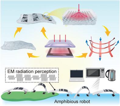 Microfiber Actuators With Hot-Pressing-Programmable Mechano-Photothermal Responses for Electromagnetic Perception