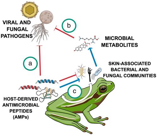 Probing the functional significance of wild animal microbiomes using omics data