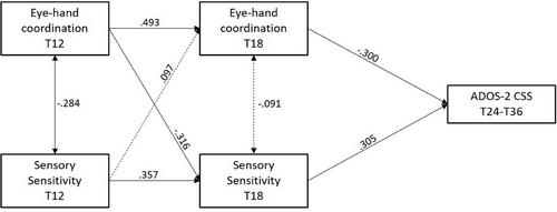 Prospective Interrelation Between Sensory Sensitivity and Fine Motor Skills During the First 18 Months Predicts Later Autistic Features