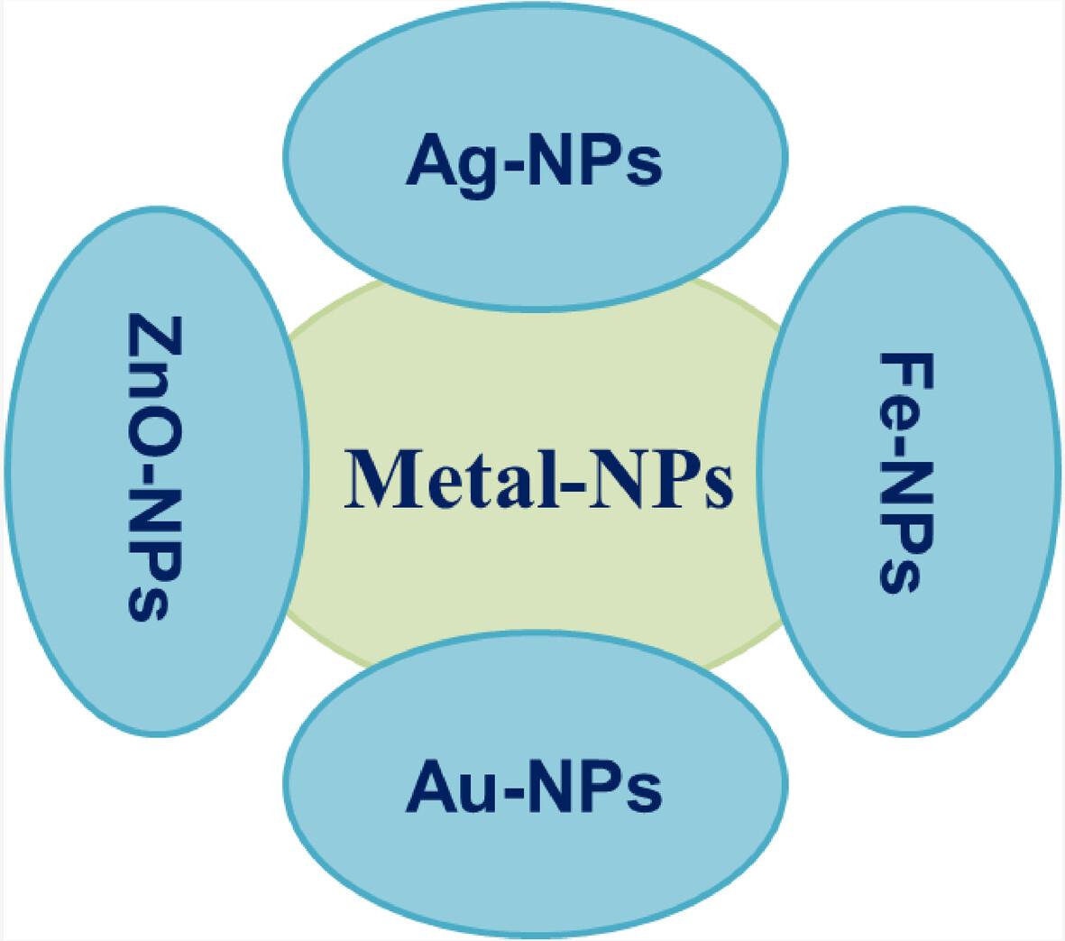 Engineered metal nanoparticles for precision drug delivery: Pioneering the future of medicine: Mini review