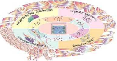 Structural designs and mechanism insights into electrocatalytic oxidation of 5-hydroxymethylfurfural