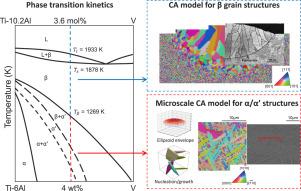 A microscale cellular automaton method for solid-state phase transformation of directed energy deposited Ti6Al4V