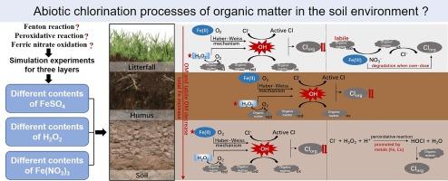 Abiotic chlorination of organic matter in the soil environment: A simulation study