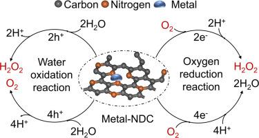 Elucidating oxygen evolution and reduction mechanisms in nitrogen-doped carbon-based photocatalysts