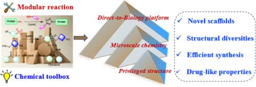 Modular miniaturized synthesis and in situ biological evaluation facilitate rapid discovery of potent MraY inhibitors as antibacterial agents