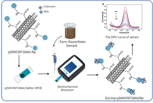 Molecular imprinting based sensor system developed using polymeric nanoparticles for detecting 17β-estradiol in agricultural wastewater