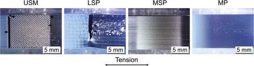 Bending fatigue behavior of metastable and stable austenitic stainless steels with different surface morphologies