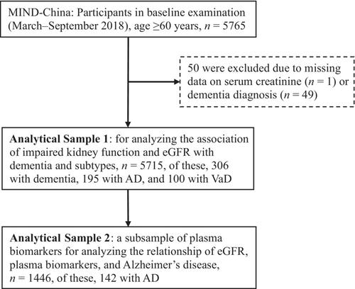 Association of dementia with impaired kidney function and plasma biomarkers: A population-based study