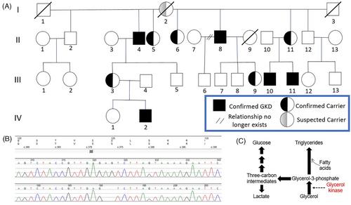 In vivo glycerol metabolism in patients with glycerol kinase deficiency