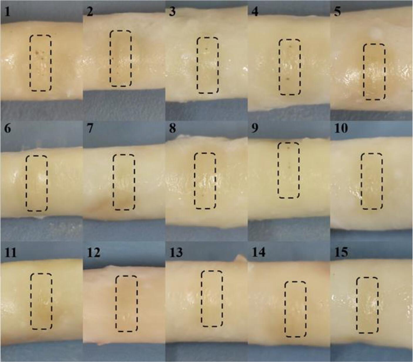 Experimental Study on the Process and Performance of Laser-Assisted Vascular Anastomosis Based on Response Surface Methodology