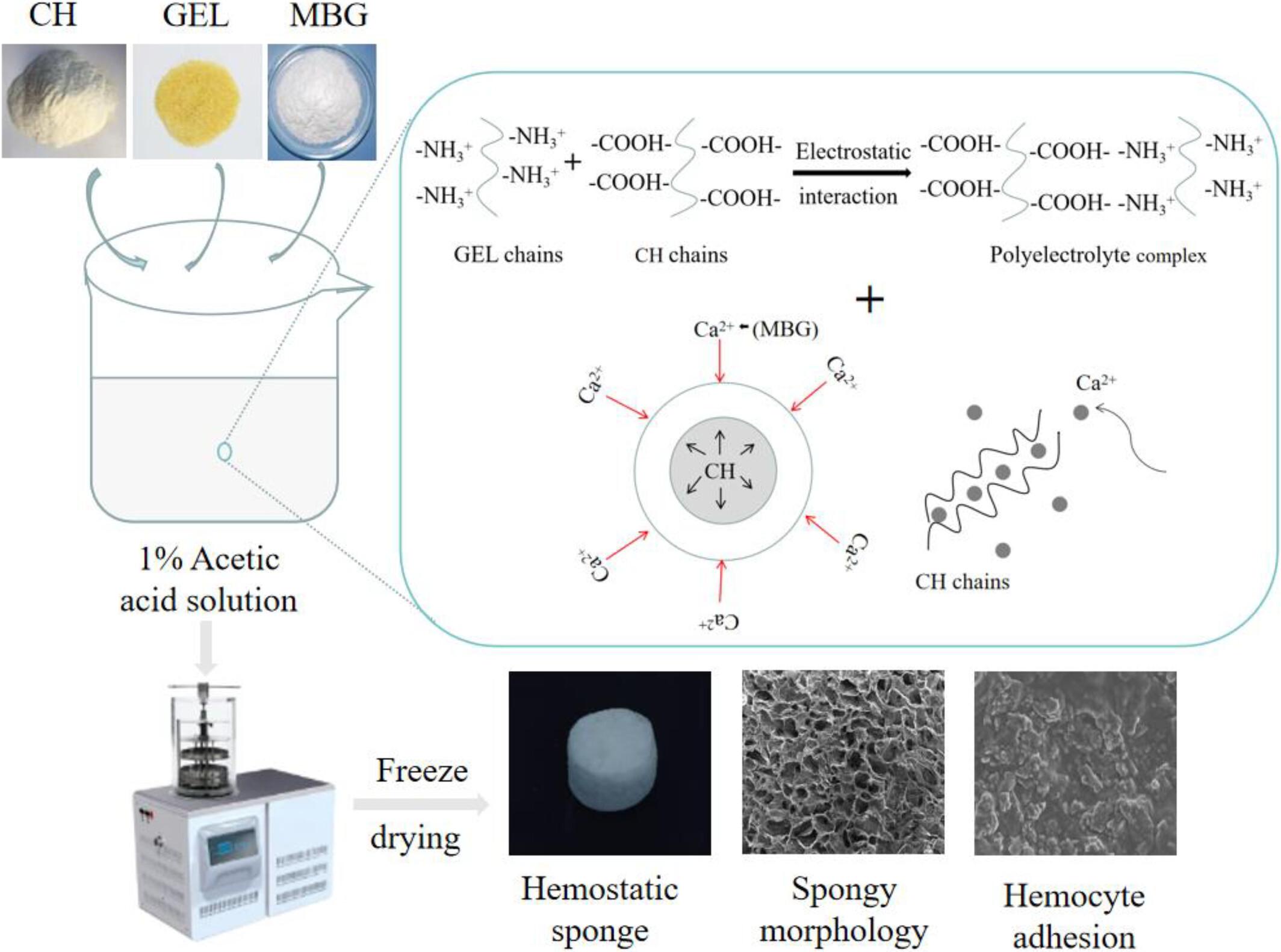 The effect of mesoporous bioglass on hemostatic, antibacterial and biocompatible properties of composite sponge