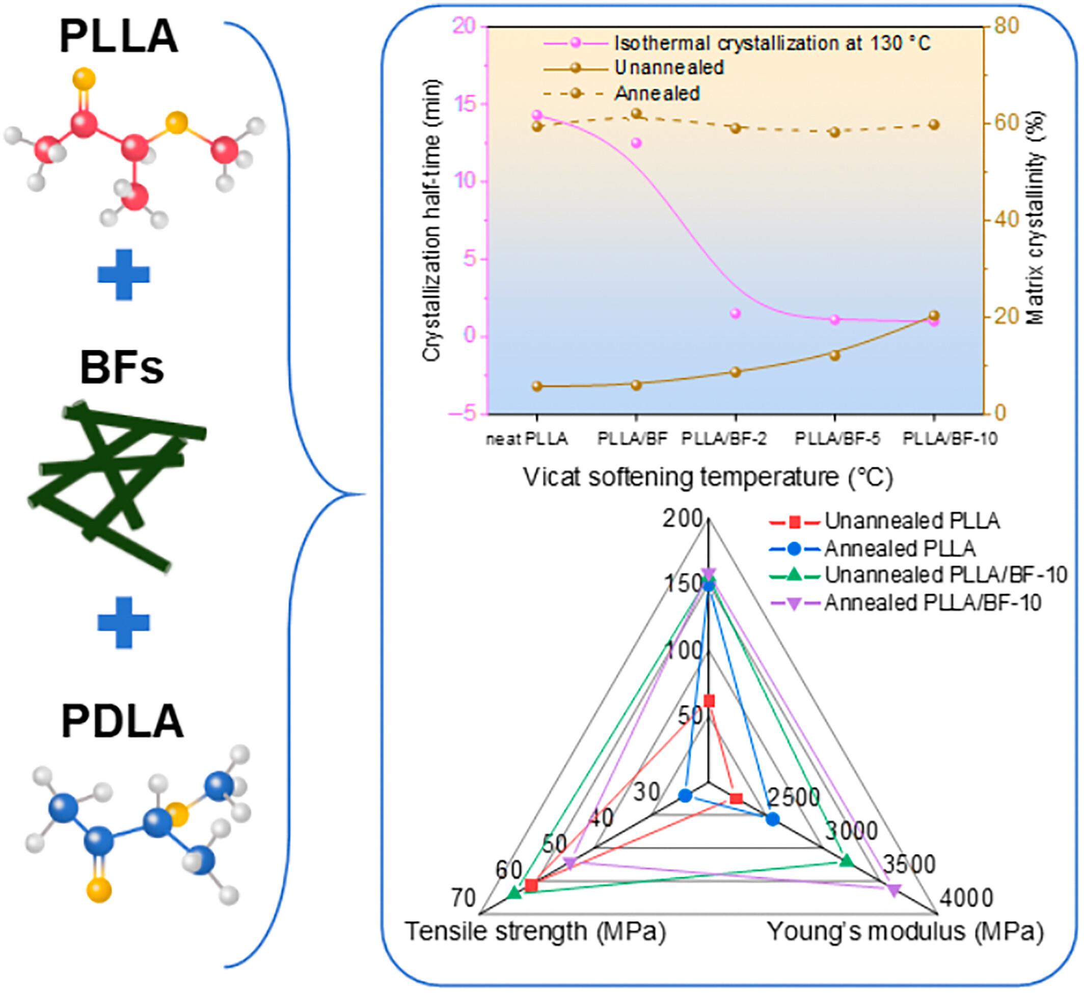 Enhanced rheological, crystallization, mechanical, and heat resistance performance of poly(L-lactide)/basalt fibers composites via in situ formation of stereocomplex polylactide crystals