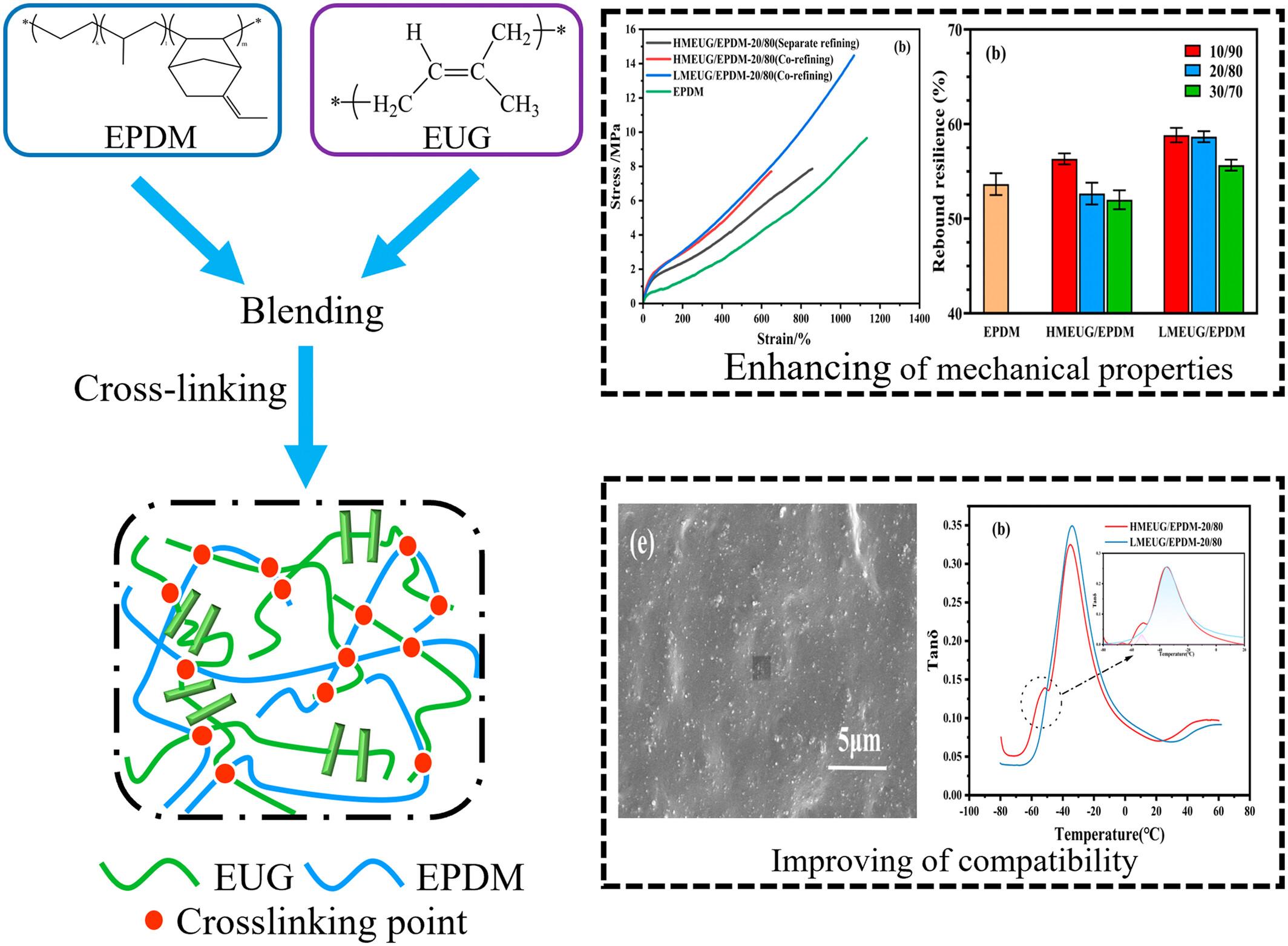 Constituent compatibility and physical properties of bio-based EUG/EPDM blends