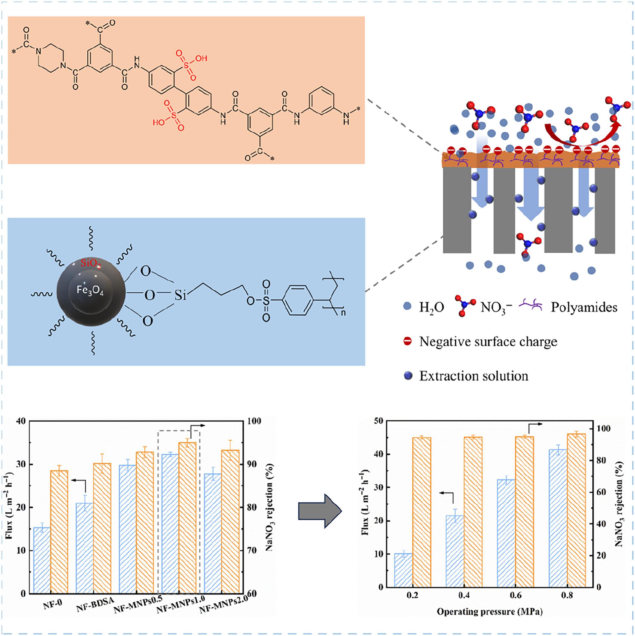 Incorporations of 2,2′-benzidinedisulfonic acid and forward osmotic extraction-favored nanoparticles in polyethersulfone nanofiltration membrane for the simultaneous enhancements in nitrate rejection and water permeation