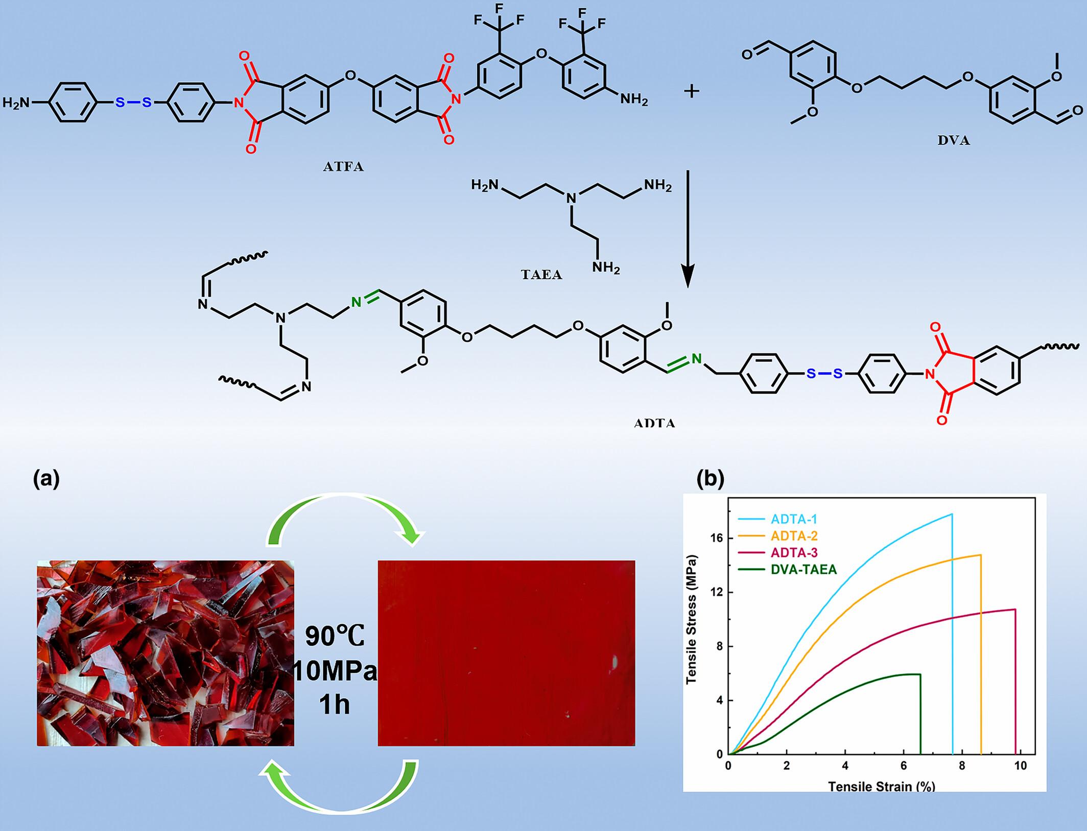 Sustainable poly(imide-imide) vitrimer based on multiple dynamic covalent bonds